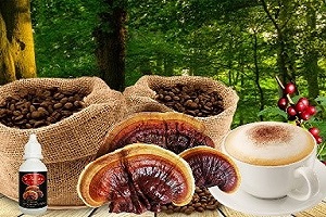 Te Latte CaféCápsulas de Ganoderma lucidum (REISHI)