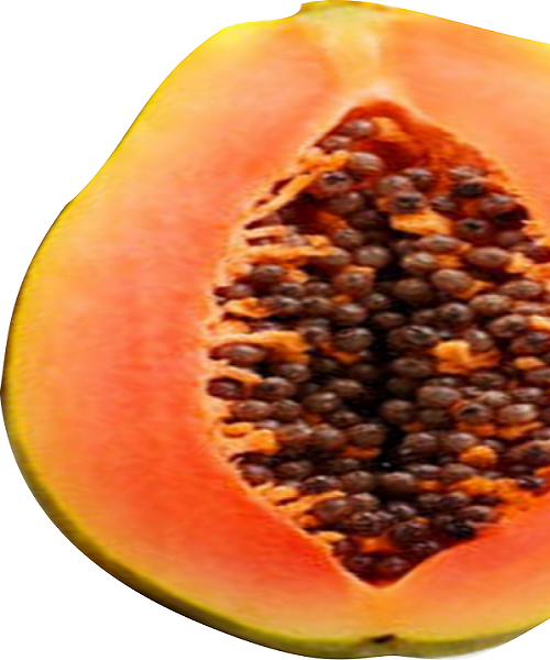 Te Latte CaféCápsulas de Carica papaya (PAPAINA)