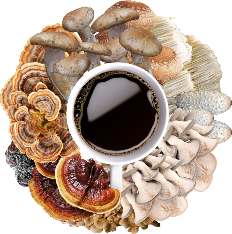 Te Latte Caférueda telatte Cafe