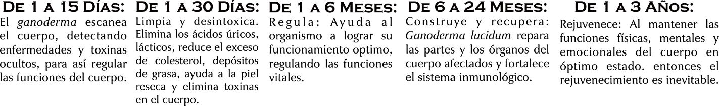 Te Latte Café - Te latte Cafe Puro Con Ganoderma Lucidum