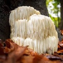 Te Latte Café - cáncer colorrectal