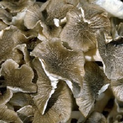 Te Latte Café - Hipertensión Arterial